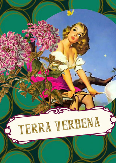 Terra Verbena